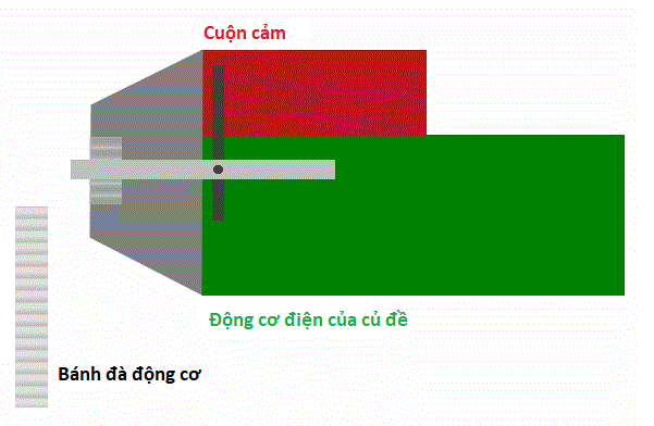 Cuon-cam