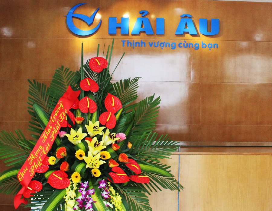 gioi-thieu-cong-ty-hai-au